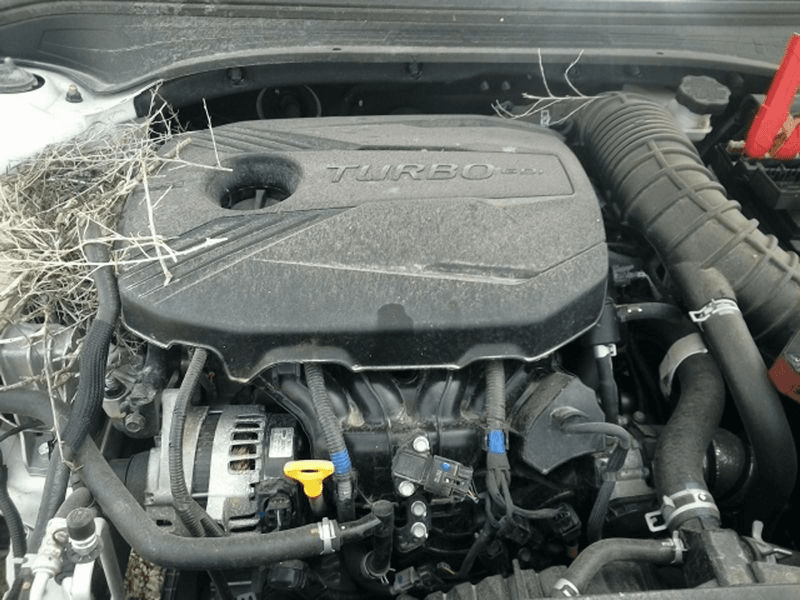 2021 Kia Forte 1.6l (turbo), Vin C (8th Digit, Mexico Built), At (dual Clutch), Used Engine