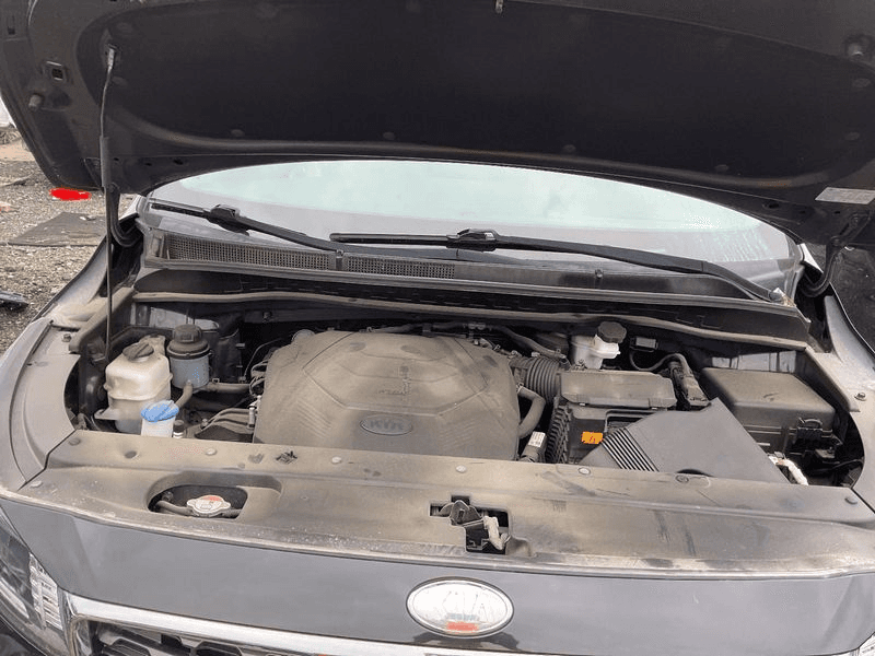 2019 Kia Sedona (3.3l, Vin 1, 8th Digit), Used Engine