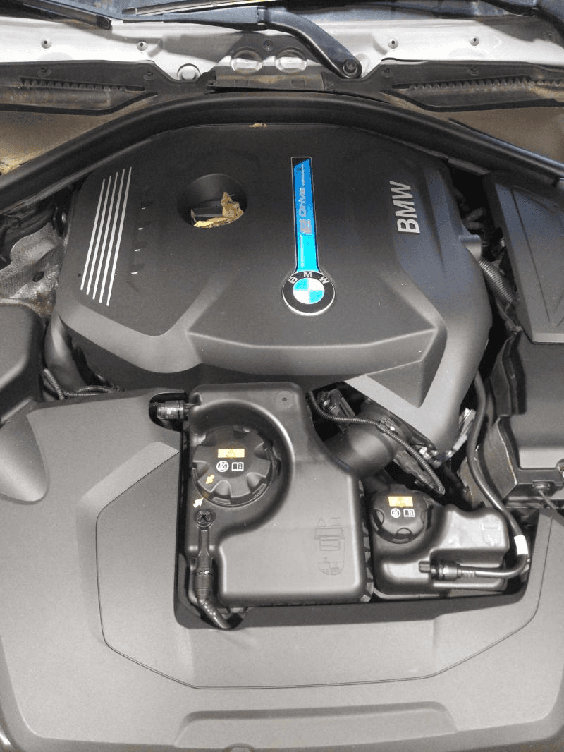 2017 Bmw 330e Gasoline, (2.0l), Thru 12/31/16, Used Engine