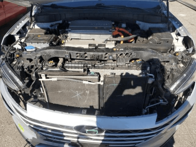 2019 Hyundai Nexo (ev, Vin 6, 8th Digit), Used Engine