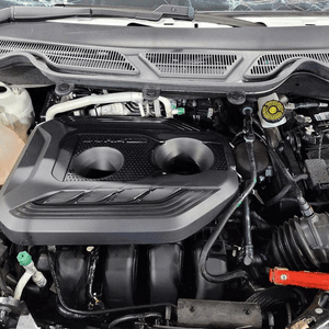 2019 Ford Ecosport 2.0l L4, Used Engine