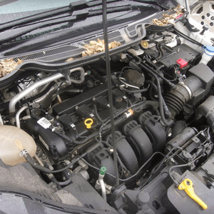 2018 Ford Ecosport 2.0l L4, Remanufactured Engine