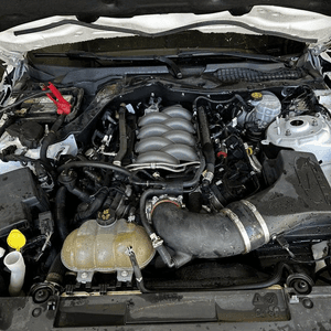 2018 Ford Mustang 5.0l (vin F, 8th Digit), Used Engine