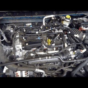 2020 Ford Escape 1.5l (vin 6, 8th Digit, Turbo), Remanufactured Engine