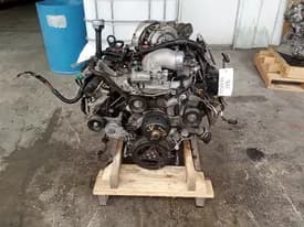 2004 Ford F-250 Super Duty 6.0l (vin P, 8th Digit, Diesel), Thru 09/22/03, Id Dg-042-ab Thru Ad (at), Used Engine - 81600 Miles 2004 Ford F-250 Super Duty 6.0l (vin P, 8th Digit, Diesel), Thru 09/22/03, Id Dg-042-ab Thru Ad (at), Used Engine - 81600 Miles