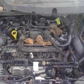 2018 Ford Escape 1.5l (vin D, 8th Digit, Turbo), Used Engine - 49203 Miles 2018 Ford Escape 1.5l (vin D, 8th Digit, Turbo), Used Engine - 49203 Miles