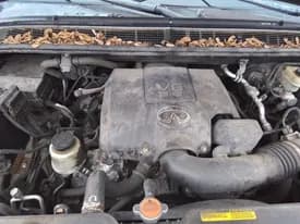 2008 Infiniti Qx56 (5.6l, Vin A Or Z, 4th Digit, Vk56de), Used Engine - 72000 Miles 2008 Infiniti Qx56 (5.6l, Vin A Or Z, 4th Digit, Vk56de), Used Engine - 72000 Miles