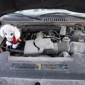 2004 Ford Expedition 5.4l (vin L, 8th Digit, Sohc), Used Engine - 27260 Miles 2004 Ford Expedition 5.4l (vin L, 8th Digit, Sohc), Used Engine - 27260 Miles