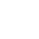 globe icon